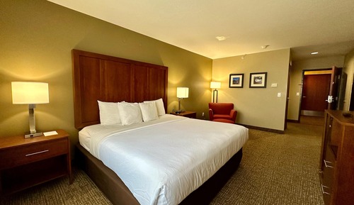 Standard Room, 1 King Bed, Non Smoking (No pets)