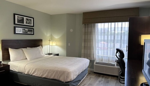 Room, 1 Queen Bed, Non Smoking