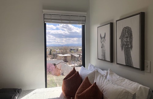 Downtown Salt Lake City Apartment | LCF - Downtown SLC - Penthouse - Queen + Daybed - Views - Gym/Hot Tub - Garage