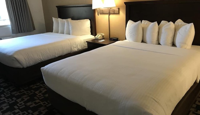 MorningGlory Inn & Suites